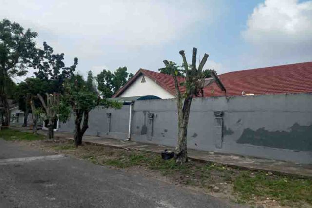 Nekat Tebas Pohon Pelindung Jalan Diponegoro, DLHK Pekanbaru Siapkan Sanksi Berat dan Panggilan Polresta