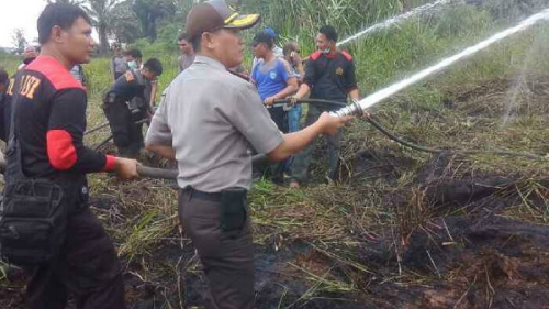 50 Hektar Lahan Gambut di Pangkalan Lesung Ludes Terbakar