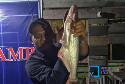 GoRiau Pelacakan Pencemaran Air Sungai Siak di Tualang Masih Tunggu Uji Sampel