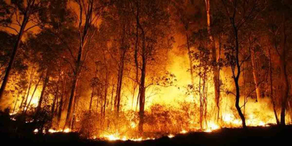 GoRiau Pekanbaru Sering Diselimuti Asap Akibat 29 Hektar Lahan Terbakar di 2023