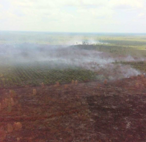 Dibombardir 6 Helikopter Bom Air dan 1 Pesawat Modifikasi Cuaca, Riau Nihil Titik Panas