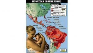 GoRiau Gawat, 82 Orang di Singapura Terinfeksi Virus Zika, Sudah Menyebar ke Pesisir Indoonesia