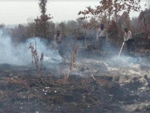 BMKG Deteksi 36 Hotspot di Riau Akibat Kebakaran Hutan